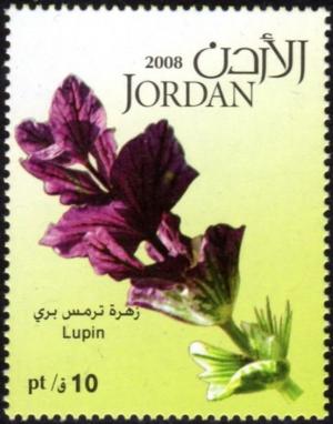 Иордания - Jordan (2008)
