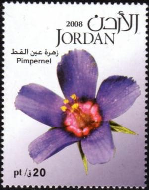 Jordan 2008