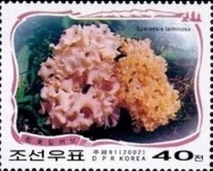 N.Korea 2002