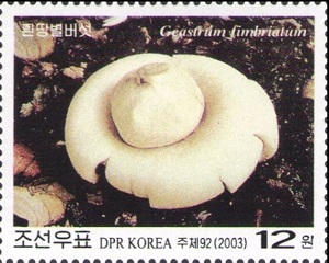КНДР - D.P.R.Korea (2003)