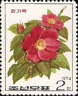 КНДР - D.P.R.Korea (1974)