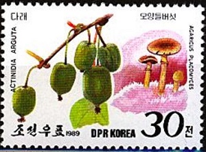 North Korea 1989