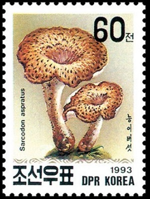 North Korea 1993