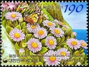 S.Korea 2004