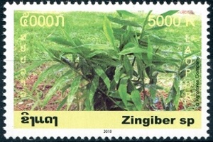 Лаос - Laos (Zingiber sp. - 2010)
