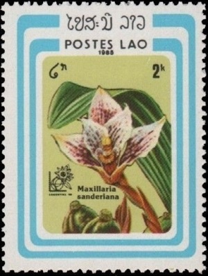Laos 1985