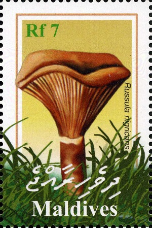 Maldives 2001