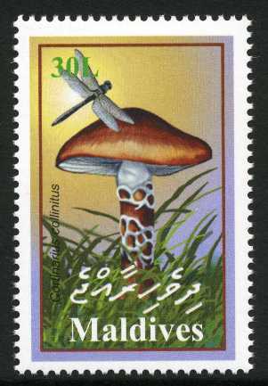 Мальдивская респ. - Maldives (2001)
