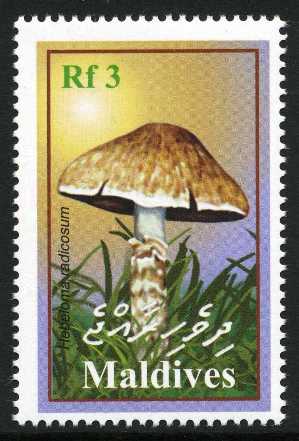 Maldives 2001