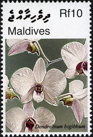 Maldives 2007