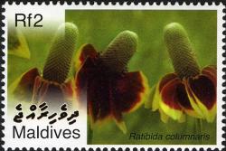 Maldives 2007