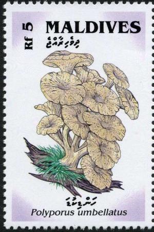 Maldives 1992