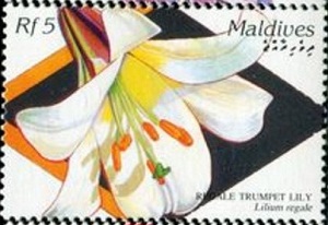 Мальдивская респ. - Maldives (1995)