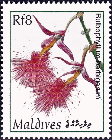 Мальдивская респ. - Maldives (1997)
