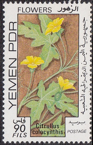 НДРЙ - South Yemen (1981) 