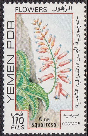 НДРЙ - South Yemen (1981)