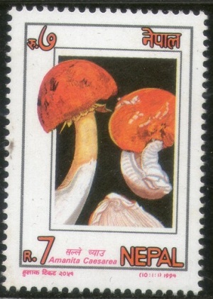 Nepal 1994