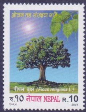 Непал - Nepal (2001)