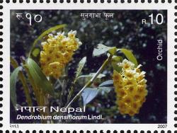 Непал - Nepal 2007