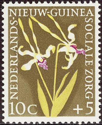 Nederland's New Guinea 1959