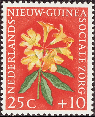 New Guinea 1959