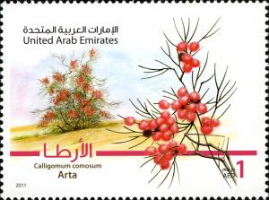 ОАЭ - UAE (2011)