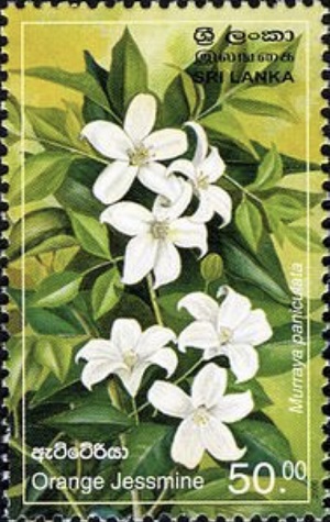 Шри Ланка - Sri Lanka (2006) 
