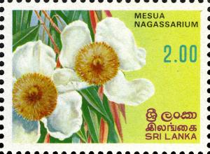 Шри Ланка - Sri Lanka 2010