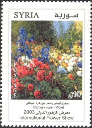 Сирия - Syria (Viola sp. - 2003)