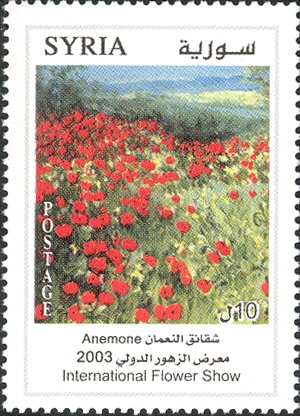 Syria 2003