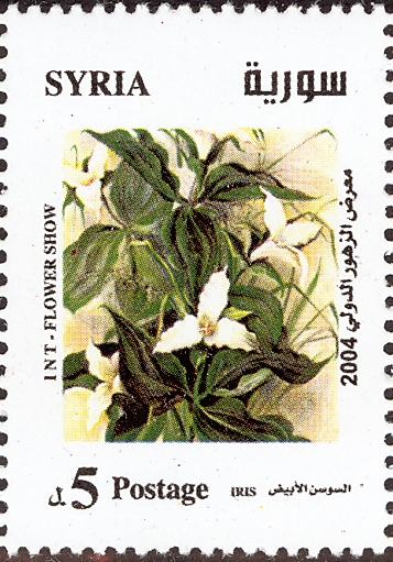 Сирия - Syria (Trillium sp. - 2004) 