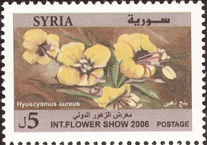 Сирия - Syria 2006