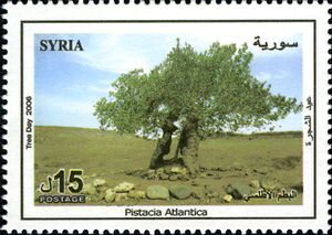 Сирия - Syria (2006) 