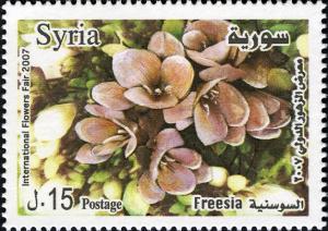 Сирия - Syria (Freesia sp. - 2007) 