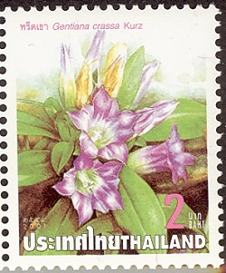 Таиланд - Thailand (G.crassa - 2001)
