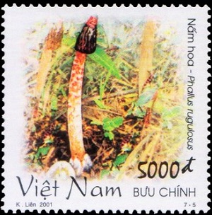 Vietnam 200