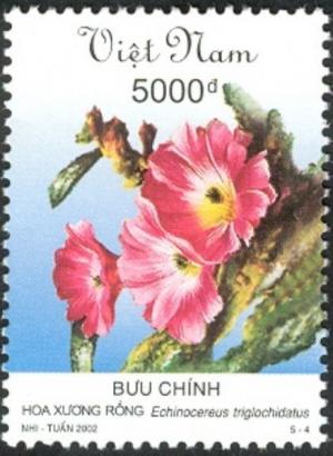 Вьетнам - Vietnam (2002) 