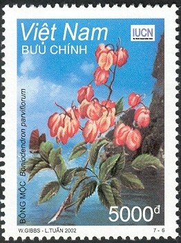 Vietnam - 2002