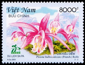 Vietnam 2003