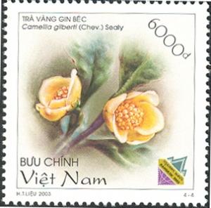 Вьетнам - Vietnam (C.gilberti - 2003)