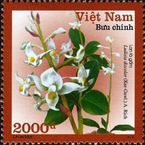 Vietnam 2008