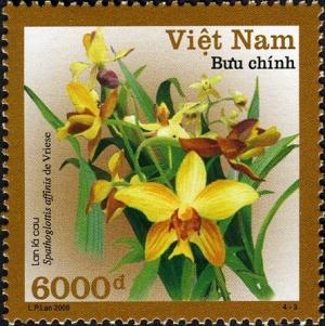 Вьетнам - Vietnam (2008)