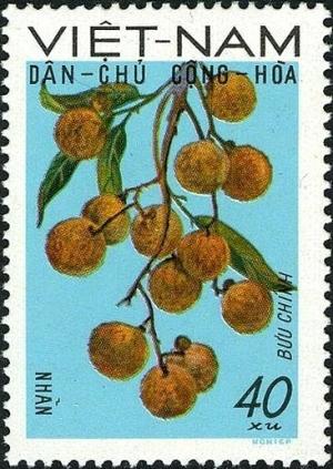 Вьетнам - Vietnam (1969)