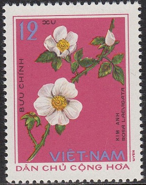 Вьетнам - Vietnam (1975)