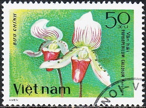 Vietnam 1979