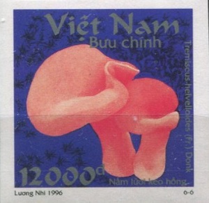 Vietnam 1996