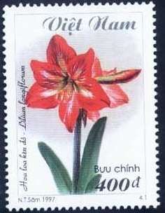 Вьетнам - Vietnam (1997)