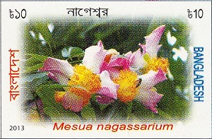 Бангладеш - Bangladesh (M.nagassarium - 2013) 