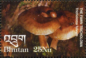 Бутан - Bhutan (2002)