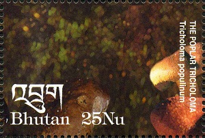 Бутан - Bhutan (2002)